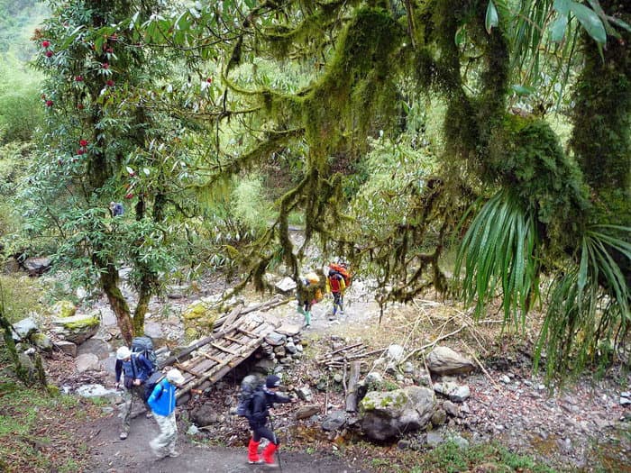 трек к базовому лагерю Аннапурны (ABC)