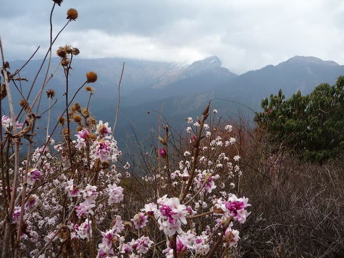 трек к базовому лагерю Аннапурны (ABC)