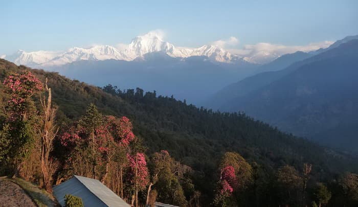 трек к базовому лагерю Аннапурны (ABC)