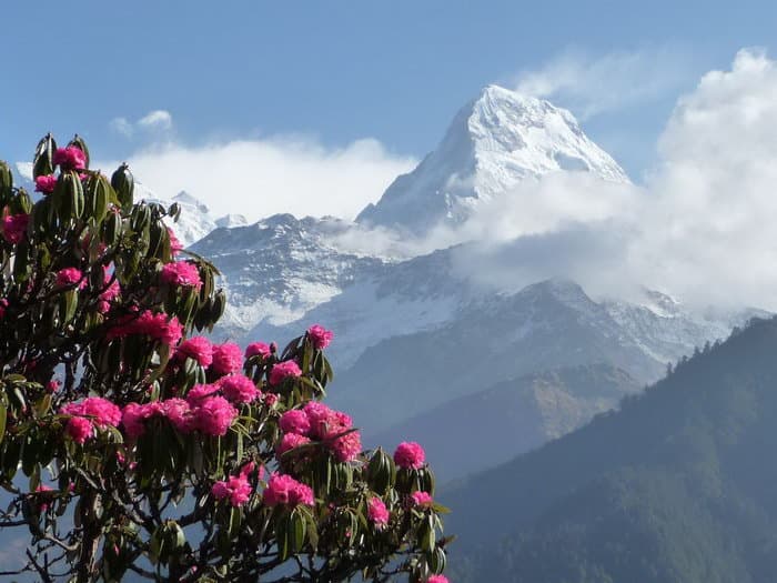 трек к базовому лагерю Аннапурны (ABC)
