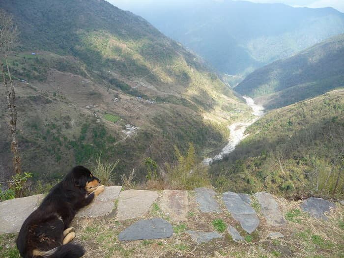 трек к базовому лагерю Аннапурны (ABC)