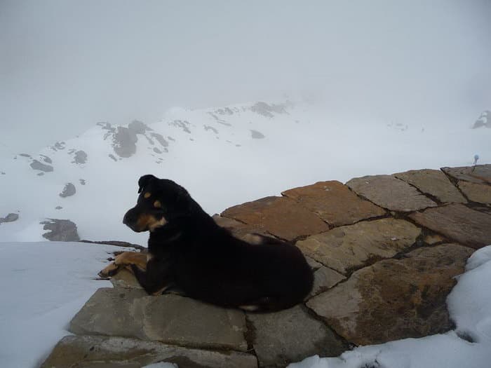 трек к базовому лагерю Аннапурны (ABC)