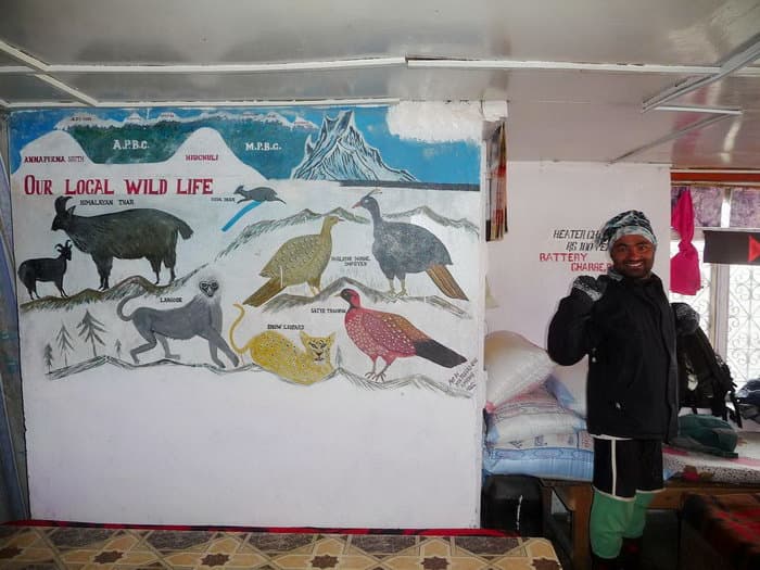 трек к базовому лагерю Аннапурны (ABC)