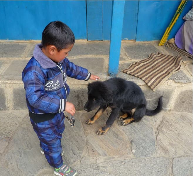 трек к базовому лагерю Аннапурны (ABC)
