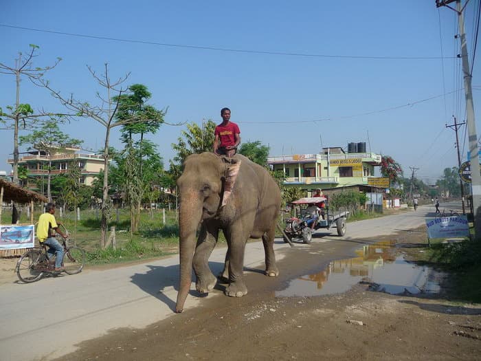 трек к базовому лагерю Аннапурны (ABC)