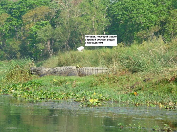трек к базовому лагерю Аннапурны (ABC)