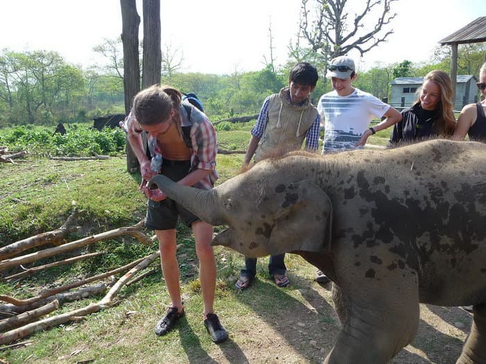 трек к базовому лагерю Аннапурны (ABC)