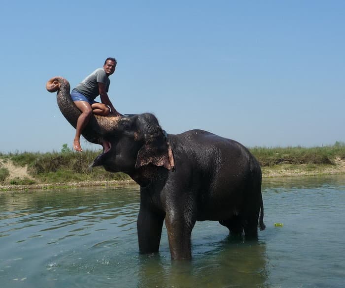 трек к базовому лагерю Аннапурны (ABC)