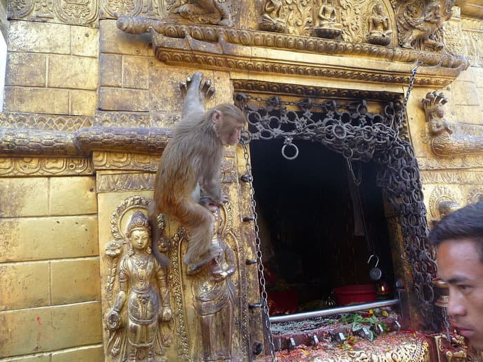 трек к базовому лагерю Аннапурны (ABC)