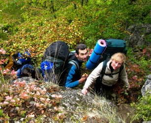по тропе на четвереньках