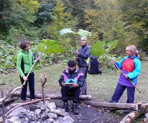 т/с Партизанская поляна