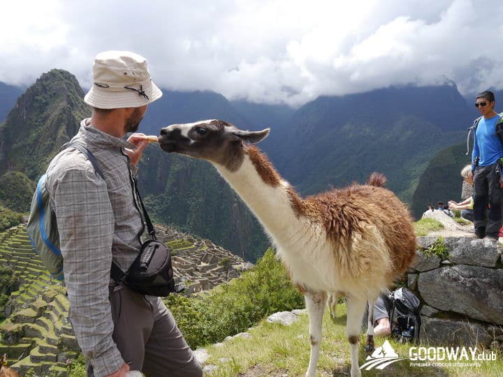 Треккинг в Перу. Мачу-Пикчу