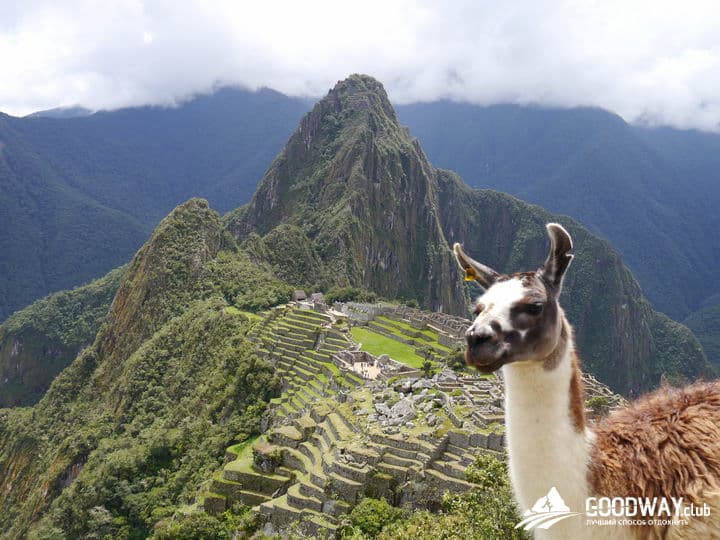 Треккинг в Перу. Мачу-Пикчу
