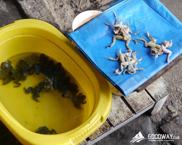 Путешествие в Перу. Куско