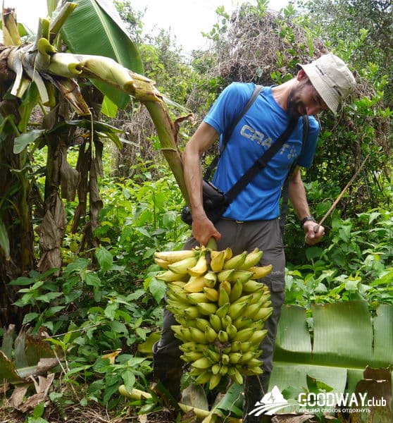 Путешествие в Перу. Джунгли, заповедник Тамбопата