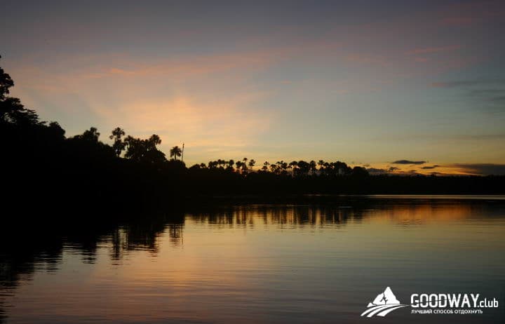 Путешествие в Перу. Джунгли, заповедник Тамбопата