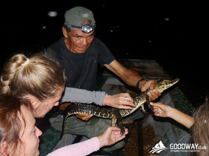Путешествие в Перу. Джунгли, заповедник Тамбопата