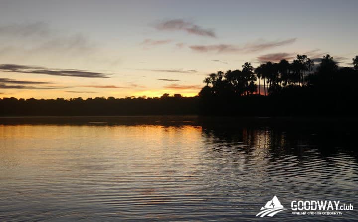 Путешествие в Перу. Джунгли, заповедник Тамбопата