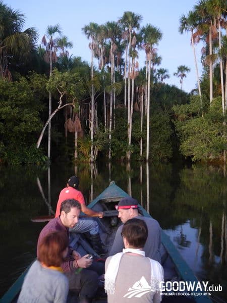 Путешествие в Перу. Джунгли, заповедник Тамбопата