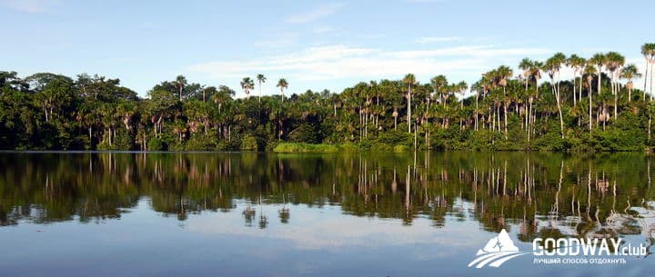 Путешествие в Перу. Джунгли, заповедник Тамбопата
