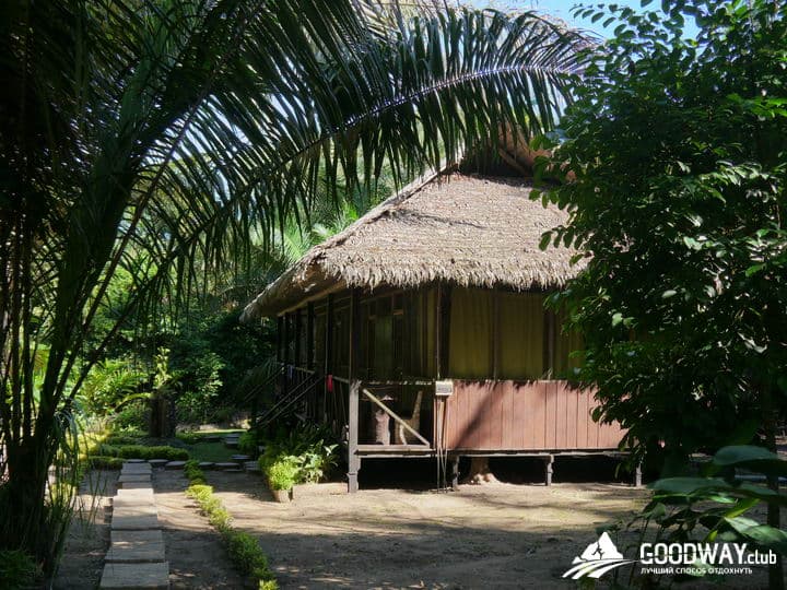 Путешествие в Перу. Джунгли, заповедник Тамбопата