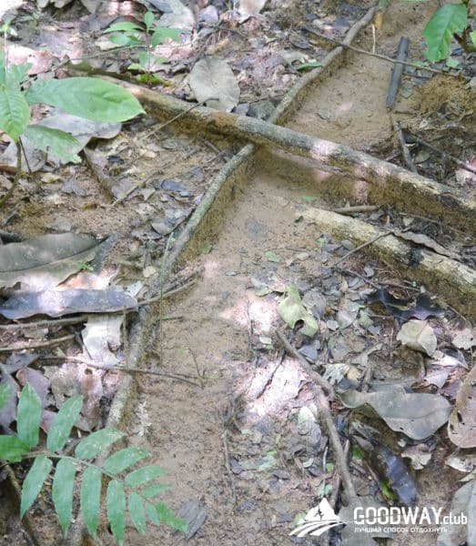 Путешествие в Перу. Джунгли, заповедник Тамбопата