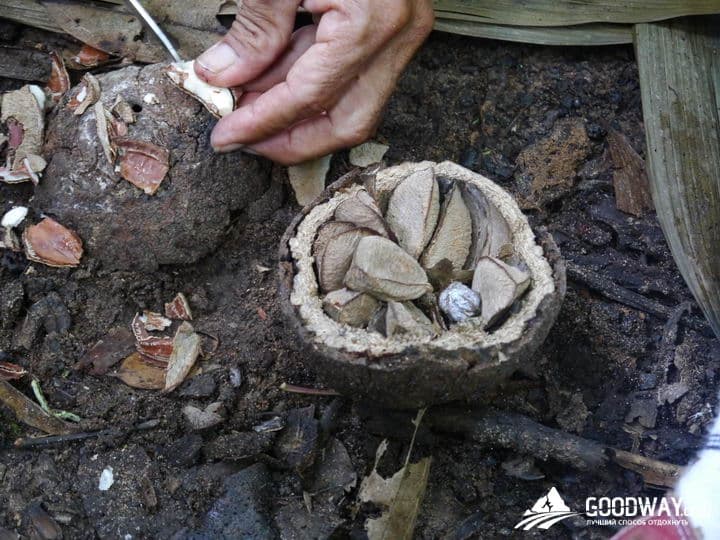 Путешествие в Перу. Джунгли, заповедник Тамбопата