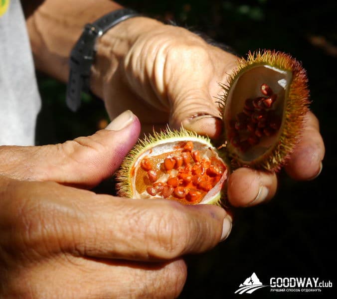 Путешествие в Перу. Джунгли, заповедник Тамбопата