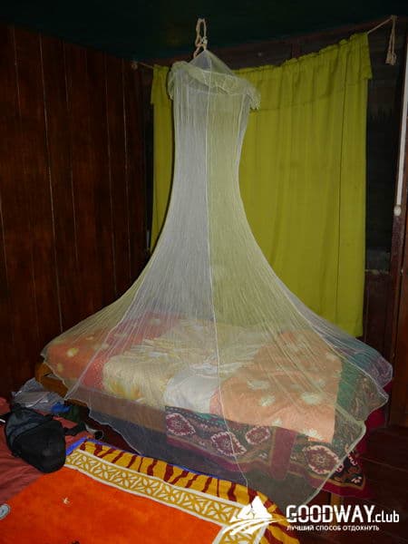 Путешествие в Перу. Джунгли, заповедник Тамбопата