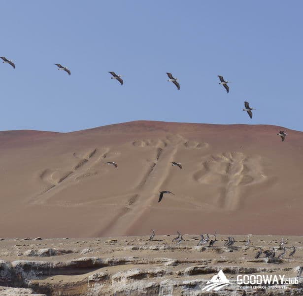 Паракас. Экскурсия на острова Байестас (Ballestas)