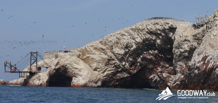 Паракас. Экскурсия на острова Байестас (Ballestas)