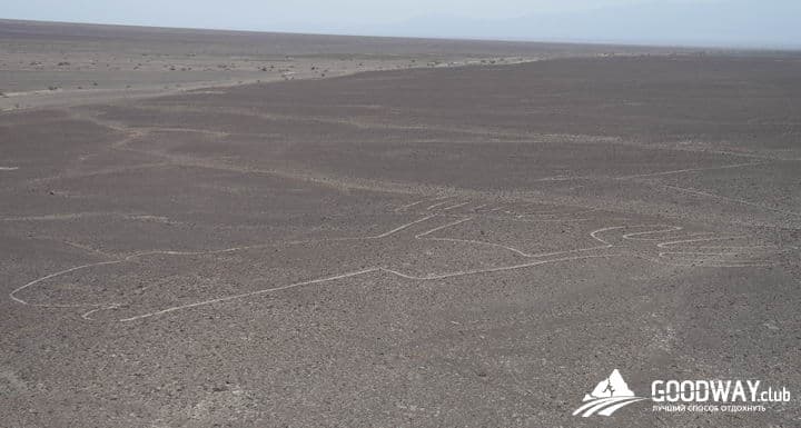 Линии Наска