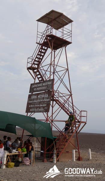 Линии Наска