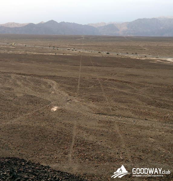 Линии Наска