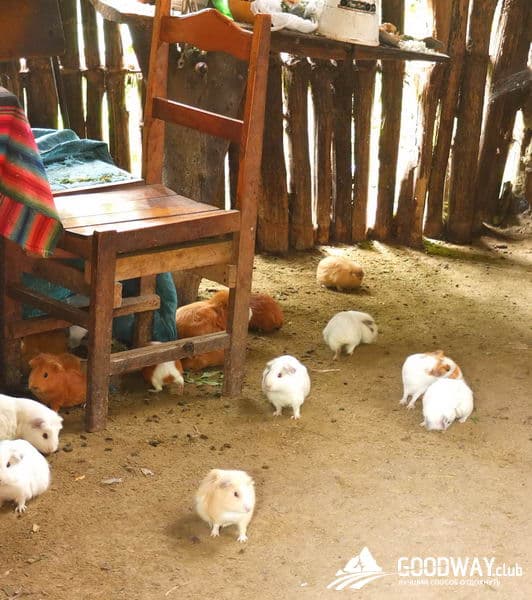 Треккинг в Перу. Чокекирао-Мачу-Пикчу