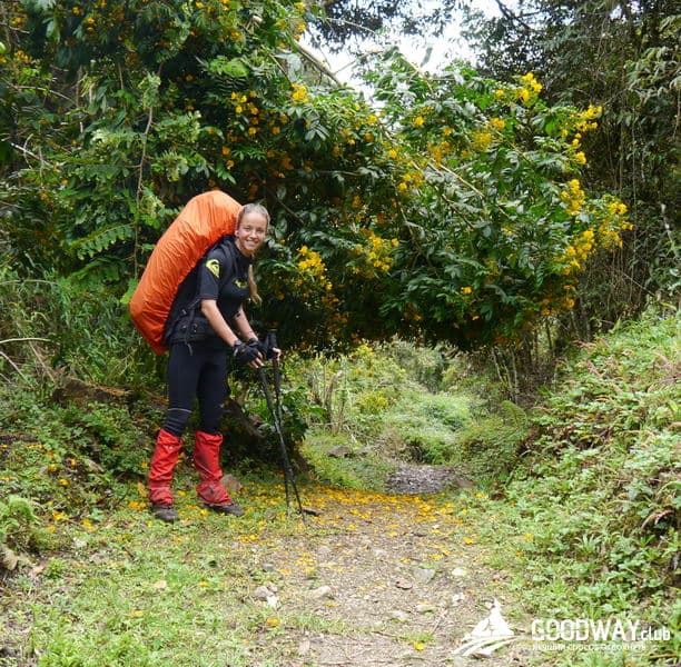 Треккинг в Перу. Чокекирао-Мачу-Пикчу