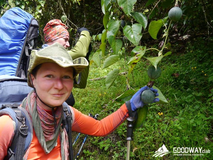 Треккинг в Перу. Чокекирао-Мачу-Пикчу
