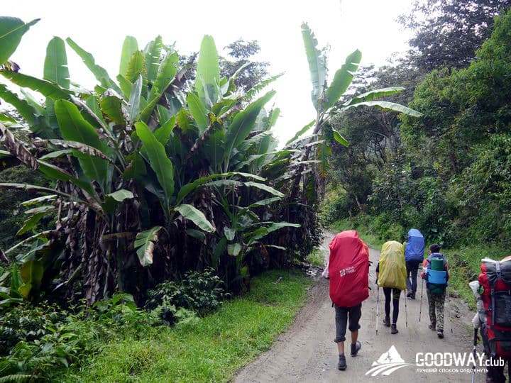 Треккинг в Перу. Чокекирао-Мачу-Пикчу