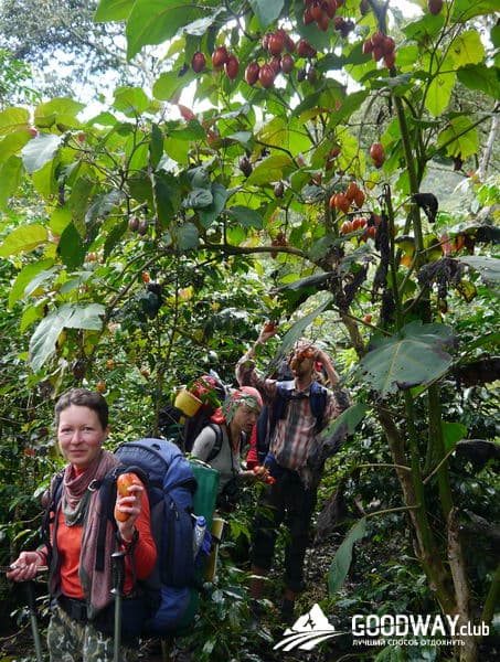 Треккинг в Перу. Чокекирао-Мачу-Пикчу