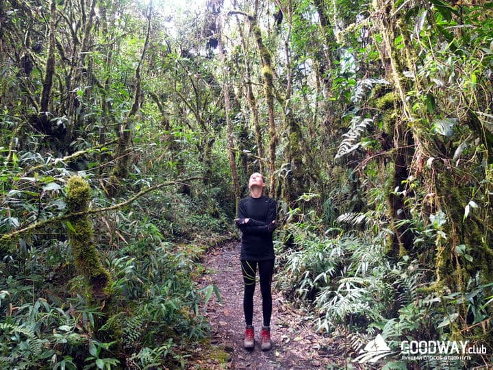Треккинг в Перу. Чокекирао-Мачу-Пикчу