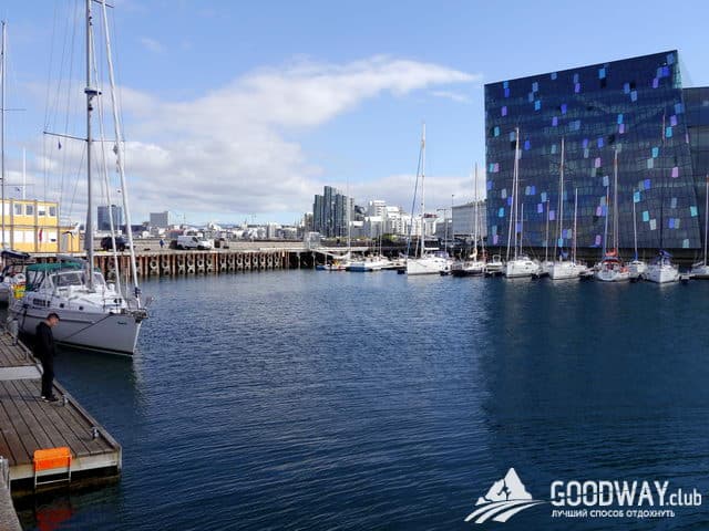 впечатления о Рейкьявике и китовой экскурсии