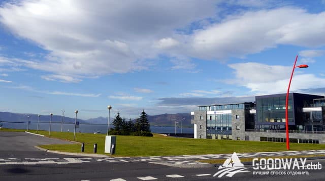 впечатления о Рейкьявике и китовой экскурсии