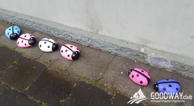 впечатления о Рейкьявике и китовой экскурсии