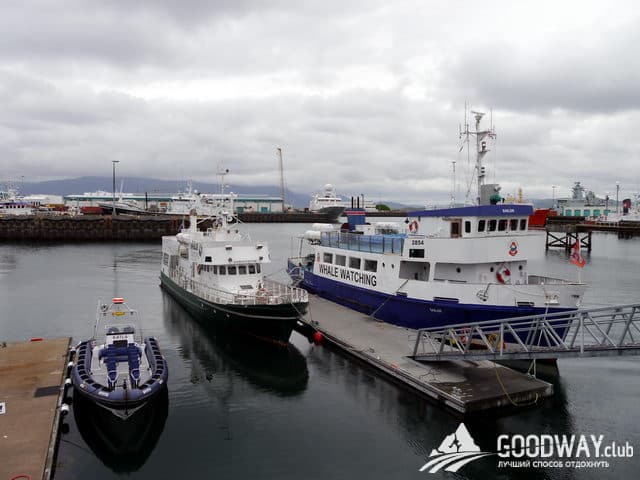 впечатления о Рейкьявике и китовой экскурсии