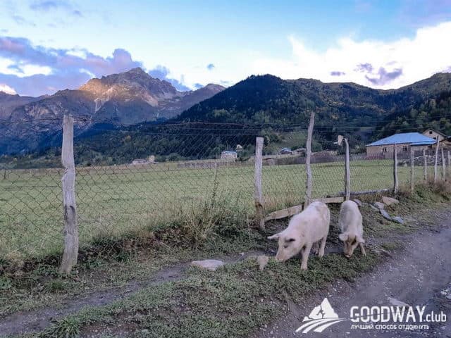 Отзыв о походе по Грузии в Сванетии