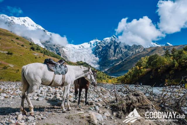 Отзыв о походе по Грузии в Сванетии