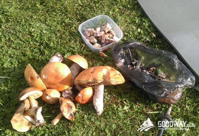 Поход по Грузии в Сванетии