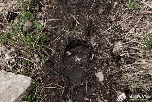 Отзыв о походе по Кавказу в мае 2019г, маршрут Большой и малый Тхач