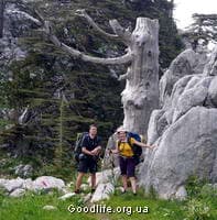 Поляна сказочных страхов