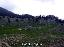 Поляна сказочных страхов